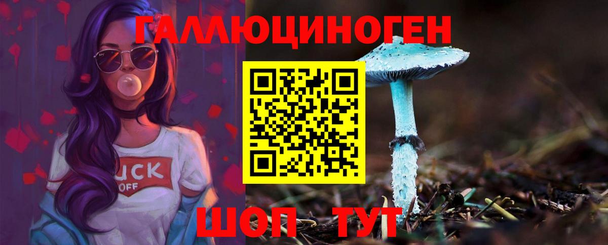 Гагарин  Псилоцибиновые грибы прущие грибы  где найти   Вход с VPN 
